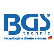 Logo BGS TECHNIC DE MEXICO